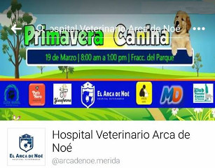 Primavera canina 2017